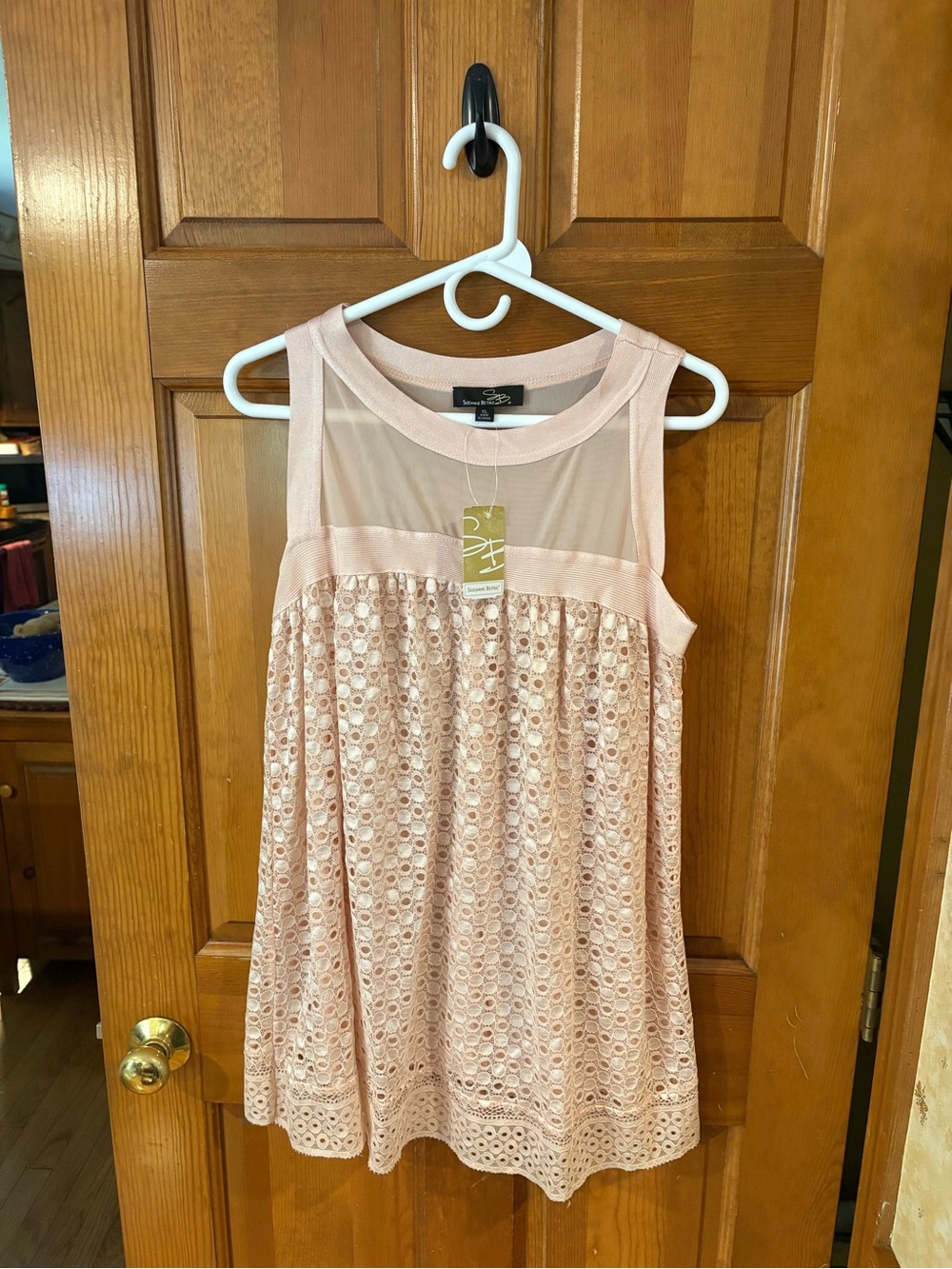 Sleeveless Lace Overlay Tank Blouse in Blush Pink
